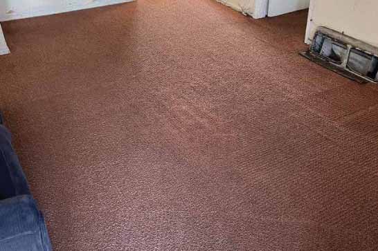 Professional Carpet Cleaning Blacktown