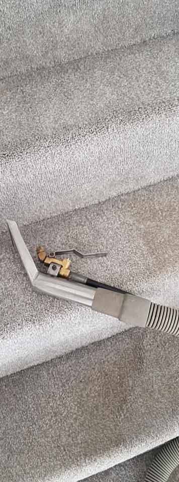 Various Benefits of Getting Carpet Cleaning Services